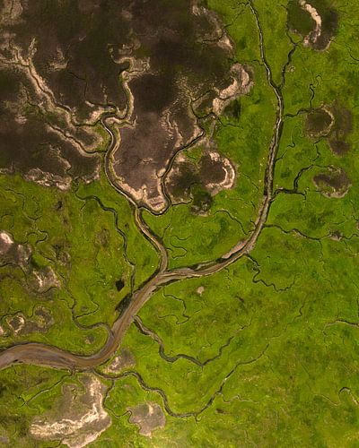 Groene Aders van het Landschap