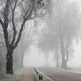 Nebel und reif von Paul Muntel