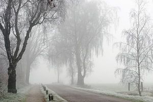 Frost and Fog sur Paul Muntel