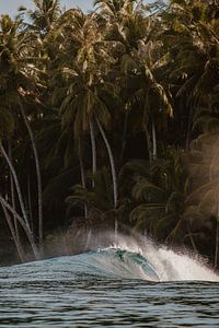 Mentawai-Wellen 2 von Andy Troy