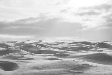 Stilte Over Sneeuwvelden - De Stille Pracht van IJsland van Femke Ketelaar