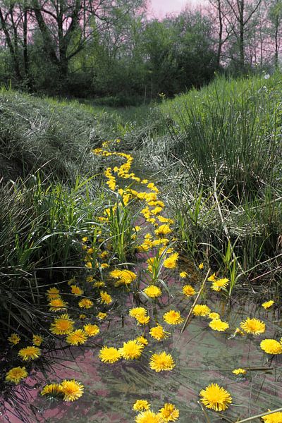 &quot;Hauer's meadow&quot; - nature-art installation by Matthias Würfel by Matthias Würfel
