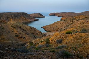 Oman, nature près de Mascate