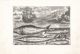 Vier vissen op het strand van Adriaen Collaert, after 1598 - 1618