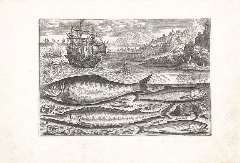 Vier Fische am Strand von Adriaen Collaert, nach 1598 - 1618 von Gave Meesters