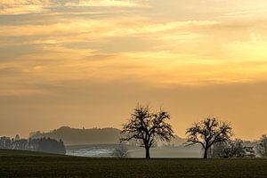 Sonnenuntergang im Allgäu