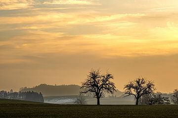 Sonnenuntergang im Allgäu von Dieter Walther