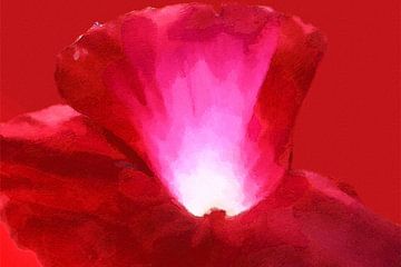 Das Licht des Lebens in der Roten Mohnblume - Digital Art von Dirkie