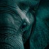 Elefant in Textur und Stille Tiefes Porträt in Blaugrün von Eva Lee