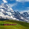 Jungfraubahn, Grindelwald, Zwitserland van Adelheid Smitt