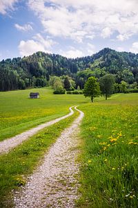 Chemin vers les montagnes sur Coen Weesjes