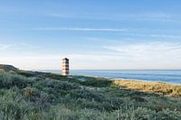 Türmchen am Strand von Dishoek