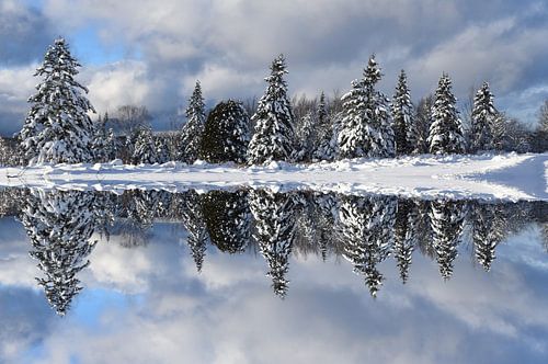 Winterreflectie op het meer