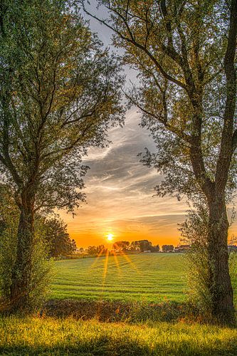 Doorkijk tussen bomen op het Friese landschap even buiten Leeuwarden