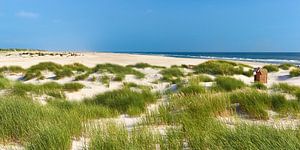 Mer du Nord, île d'Amrum