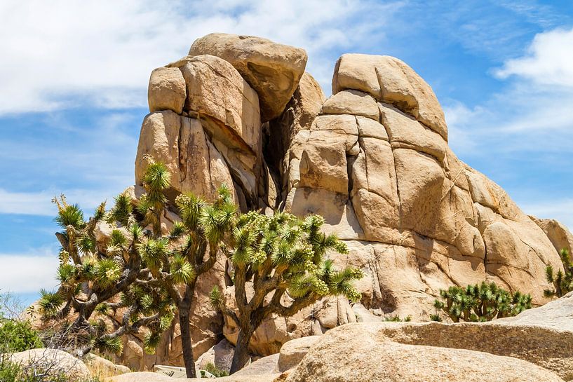 Monzogranit-Formation im Joshua Tree National Park von Melanie Viola