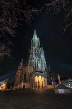 Ulm Cathedral in the evening / at night