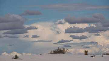 White Sands - New Mexico van Tonny Swinkels