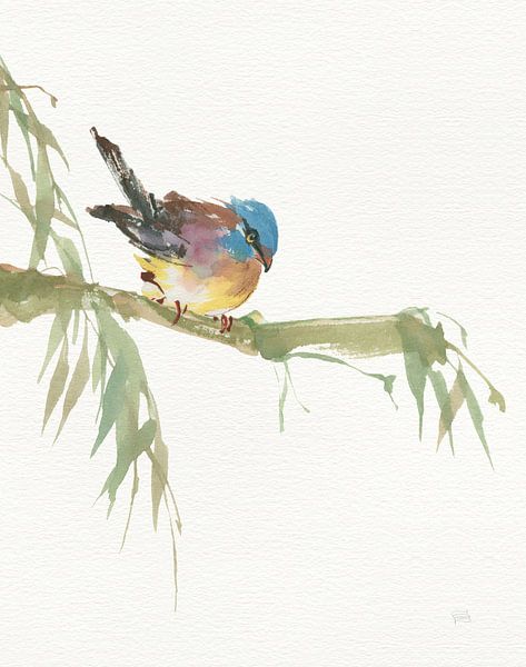 Finch v2, Chris Paschke von Wild Apple