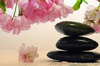 Mandelblüte mit Wellness Steinen von Tanja Riedel Miniaturansicht