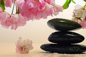Mandelblüte mit Wellness Steinen