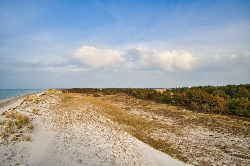 On the Baltic Sea beach with dunes by Martin Köbsch