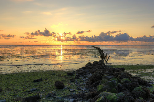 Sonnenuntergang, ausgetrocknetes Wattenmeer mit einer Reihe von Pfählen
