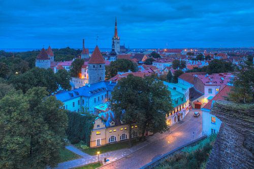 Vue de la colline de la cathédrale sur la ville basse, la vieille ville avec l'église Olai ou Olevis