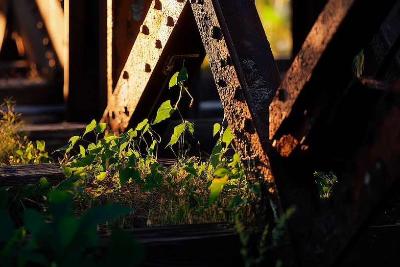 Railway bridge with plant growth by Poster Art Shop