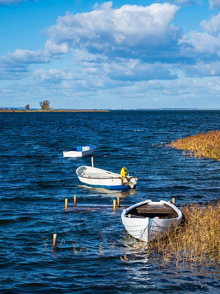 Boote auf der Ostsee auf der Insel Møn in Dänemark von Rico Ködder