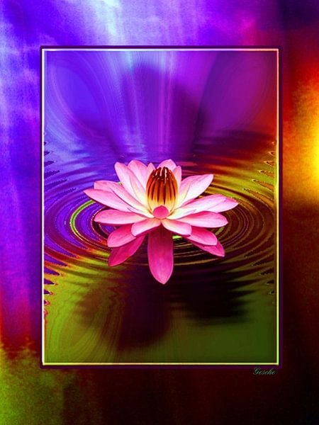 Florale Spielerei B von Gertrud Scheffler