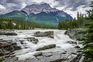 Athabasca Falls van Peter Vruggink