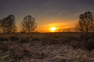 Zonsondergang Ginkelse Heide bij Ede (Nederland) van Rick van de Kraats thumbnail