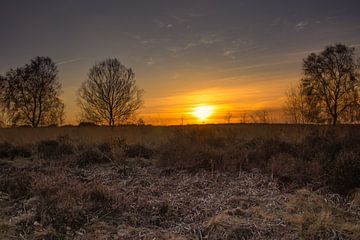 Zonsondergang Ginkelse Heide bij Ede (Nederland) van Rick van de Kraats