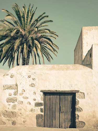 Haus und Palme