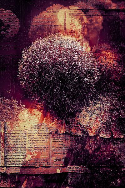 A giant onion flower between the newspaper pages's by Helga Blanke
