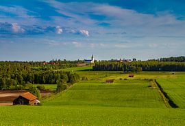 Green fields in Sweden by Hamperium Photography