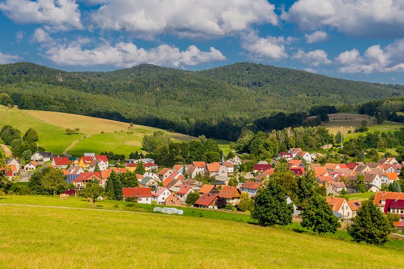 Beautiful landscape at the Rennsteig/Thuringian Forest by Oliver Hlavaty