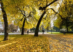 Autumn colors in Park Valkenberg Breda von JPWFoto