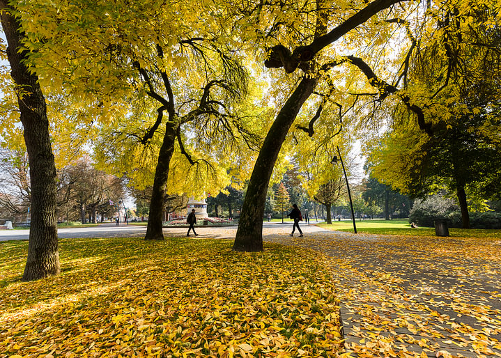 Herfstkleuren in Park Valkenberg Breda van <span class="secondary-font">JPWFoto</span>