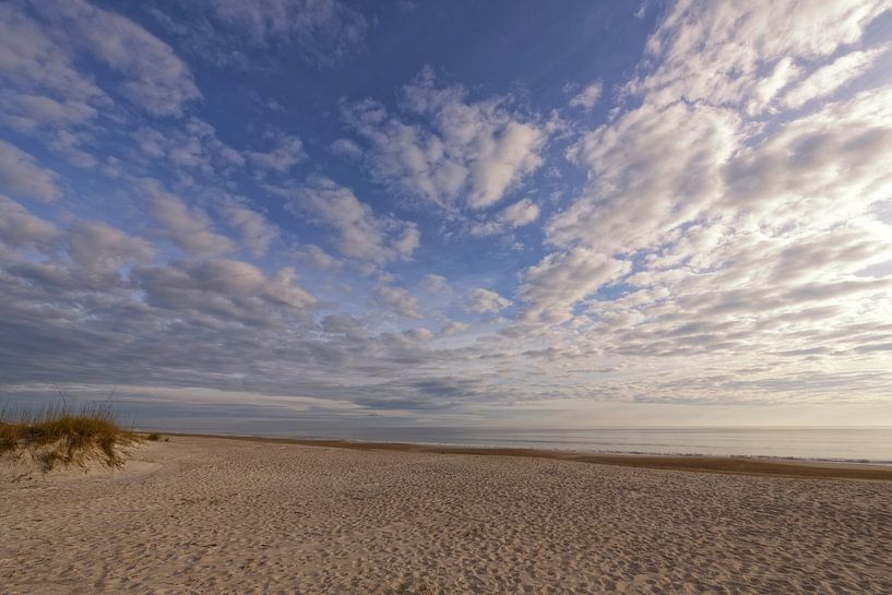 Florida, beach. by Tilly Meijer