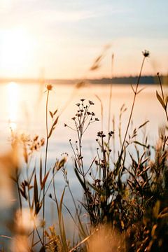 Zonsondergang bij het water van Poster Art Shop