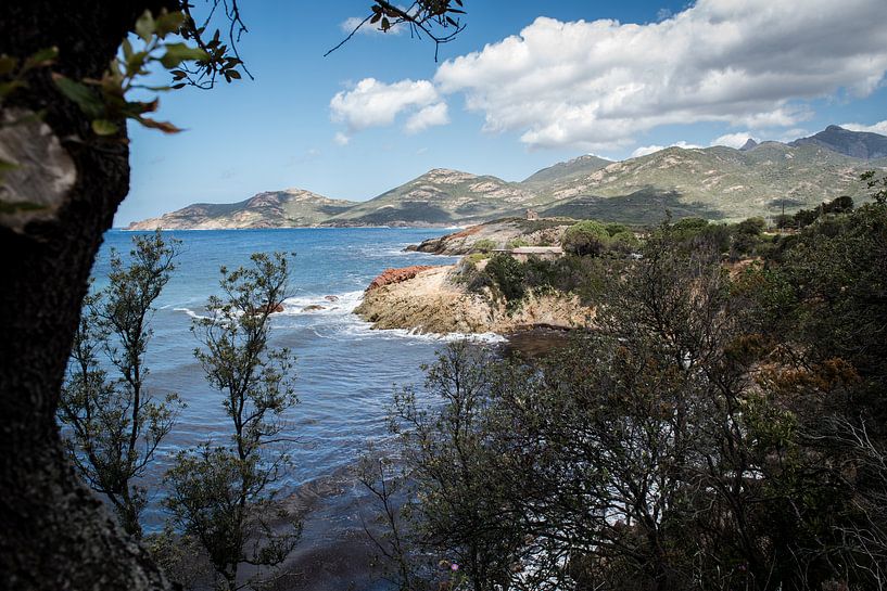 Corsica by Johan Vet