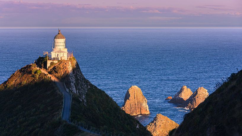 Nugget Point Lighthouse, New Zealand by Henk Meijer Photography