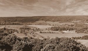 Limburger Landschaft in Sepia