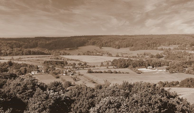 Limburg landscape in sepia by Jose Lok