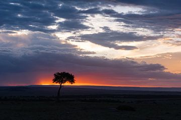African Sky by Anne Böhle