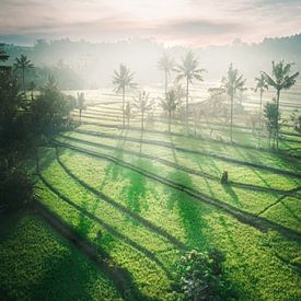Morgenlicht auf der Insel Bali. von Roman Robroek – Fotos verlassener Gebäude