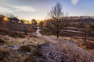 Sonnenaufgang Brunssummerheide