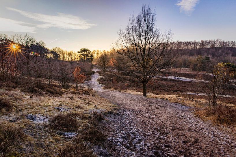 Sunrise Brunssummerheide by Rob Boon